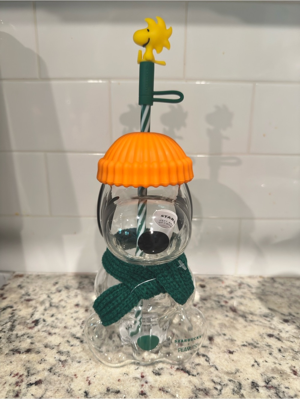 Starbucks Snoopy 2026 Fall Glass Sipper NIB